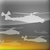 trophy_16.png