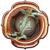 trophy_2.png